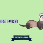Ferret Puns